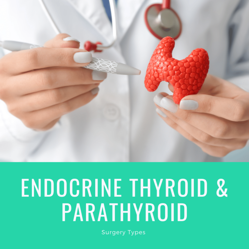 Endocrine & Parathyroid