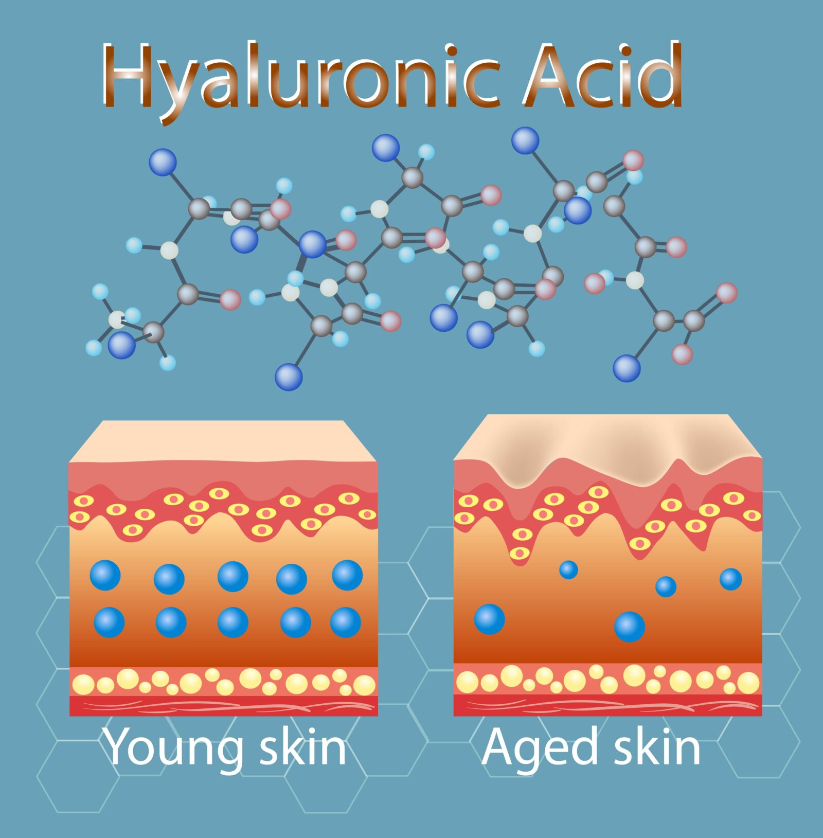 molecular structure of hyaluronic acid and how it affects the skin